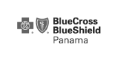 BlueCross BlueShield BlueCross BlueShield
